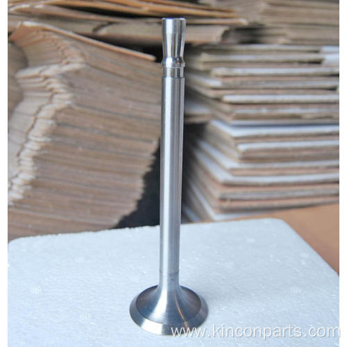 Engine Valves 4115TA